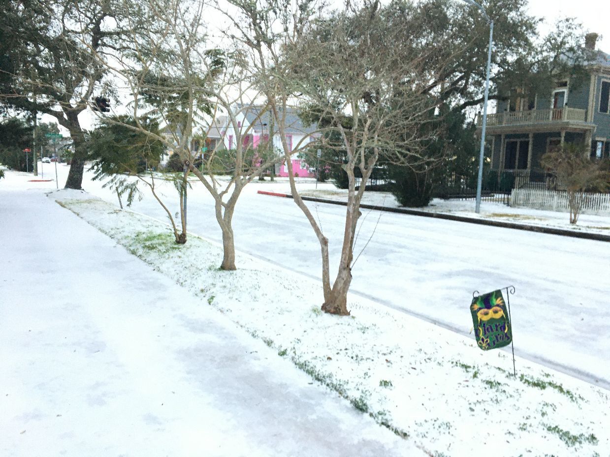 February 2021 Snow